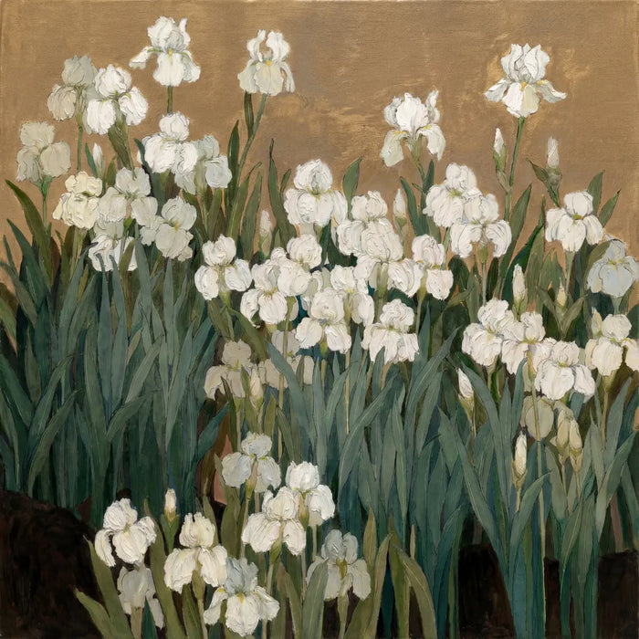 Botanical White Iris | Fields