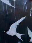 Textured Avian Dynamism | Black White