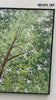Big Green Textured Tree Painting Green Tree Textured Canvas Wall Art 3D Green Tree Acrylic Painting