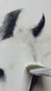 Contemporary Horse Art #HA040 product video